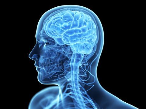 Ways to Keep Your Mind Sharp