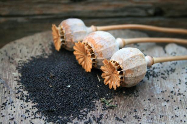 Poppy Seed Sleep Aid