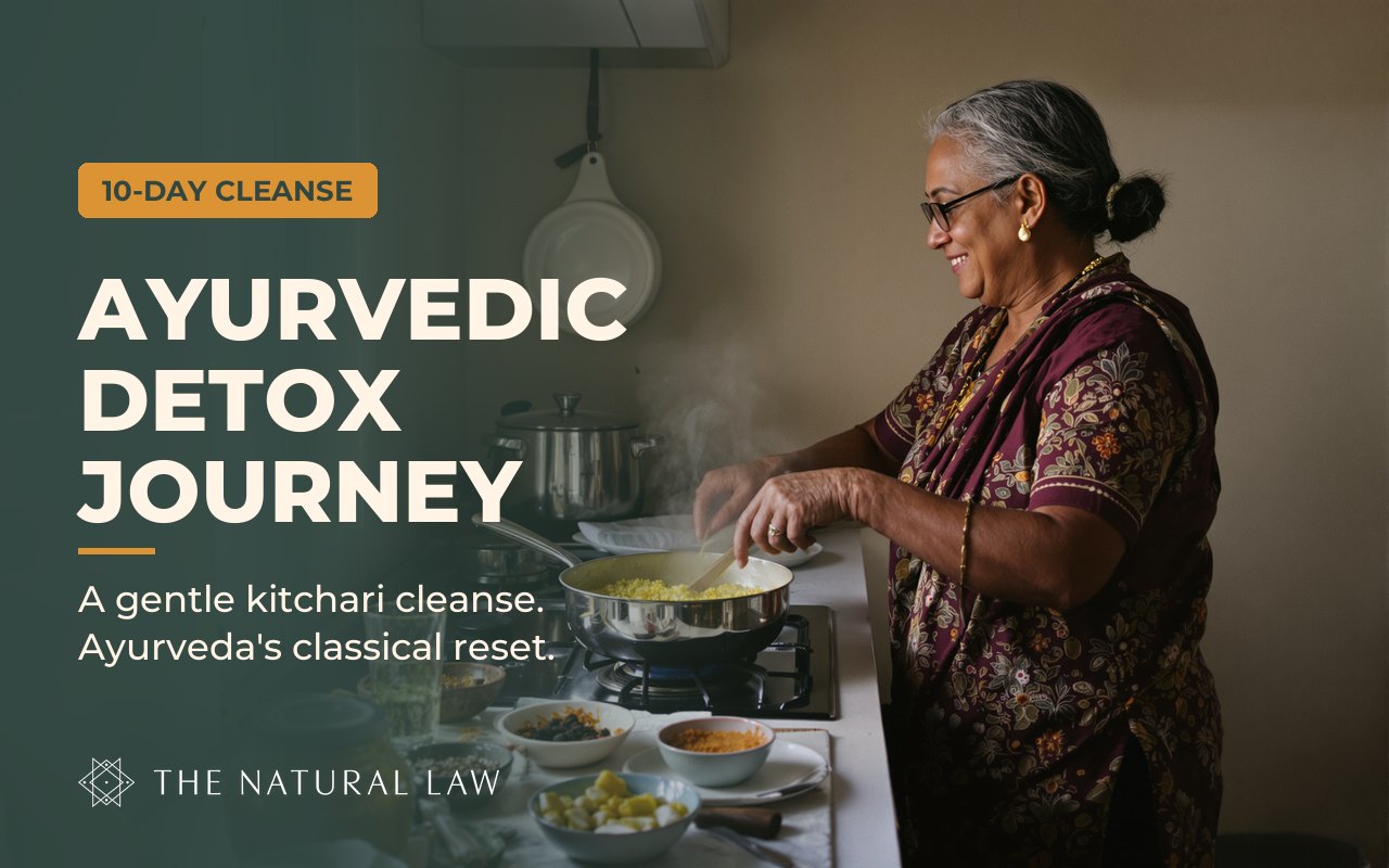 Ayurvedic Detox Journey program cover