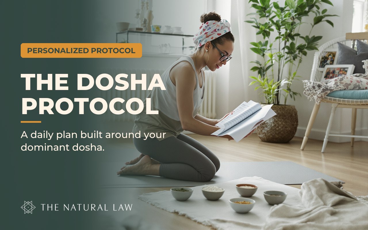 Dosha Protocol program cover