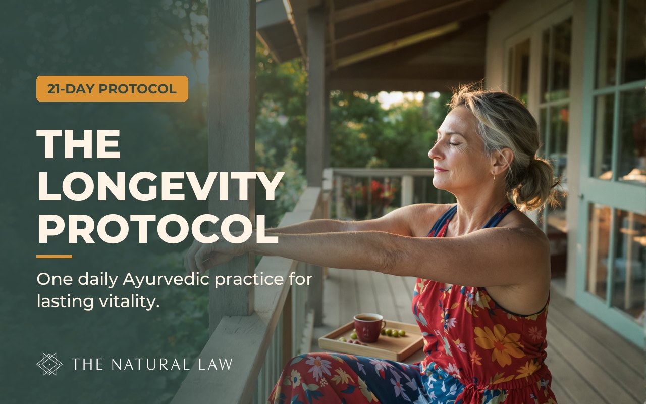 The Longevity Protocol program cover