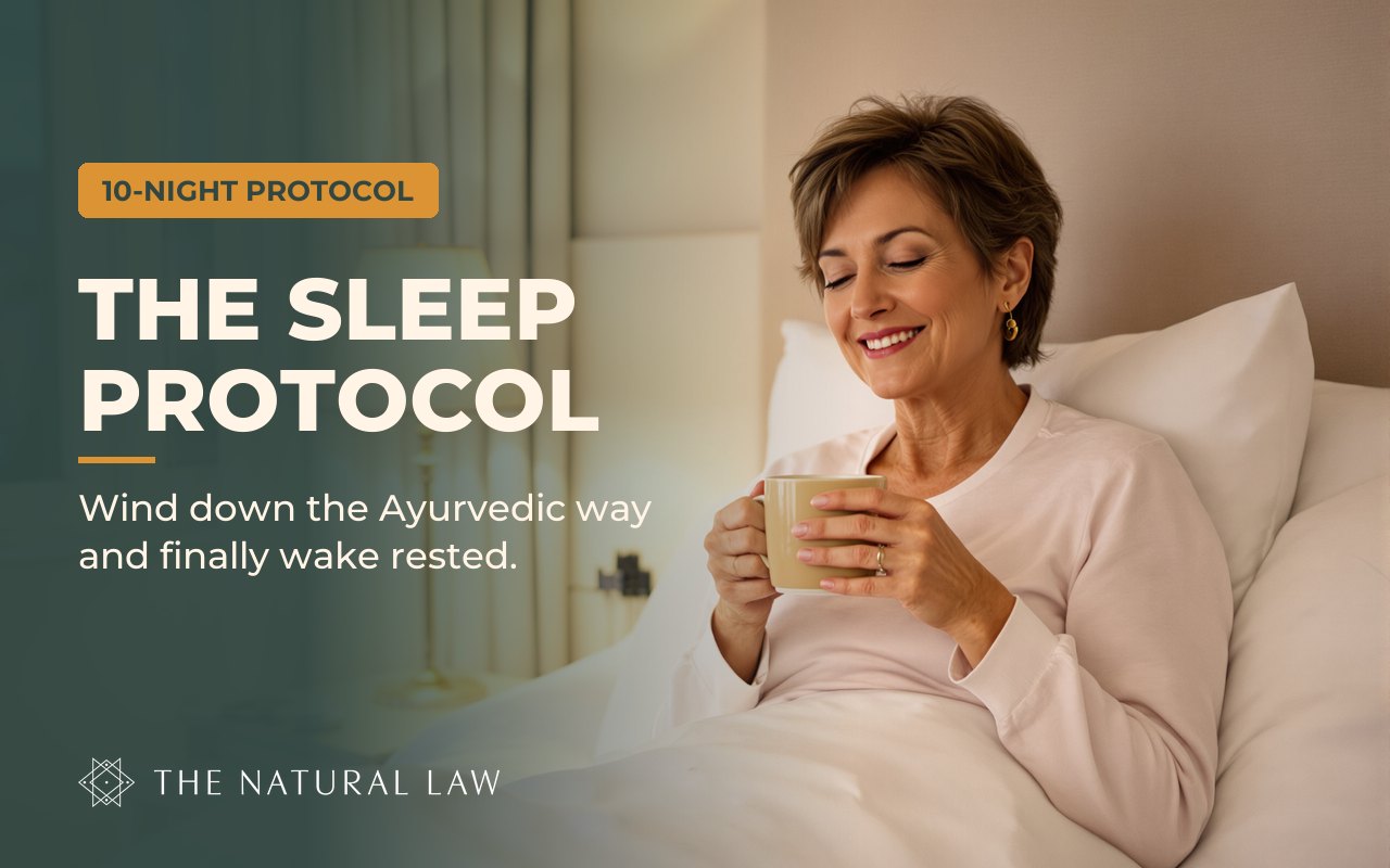 The Sleep Protocol program cover