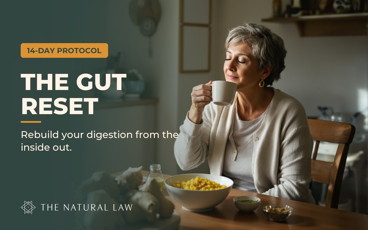 The Gut Reset program cover