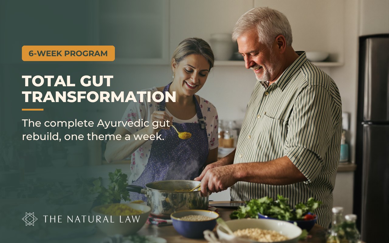 Total Gut Transformation program cover